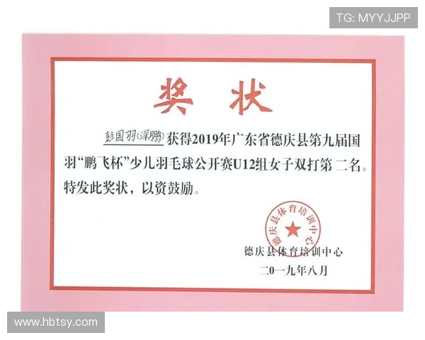 深圳羽毛球队整体压制表现分析及其对比赛结果的影响探讨